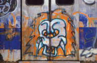 martha cooper lion wall art