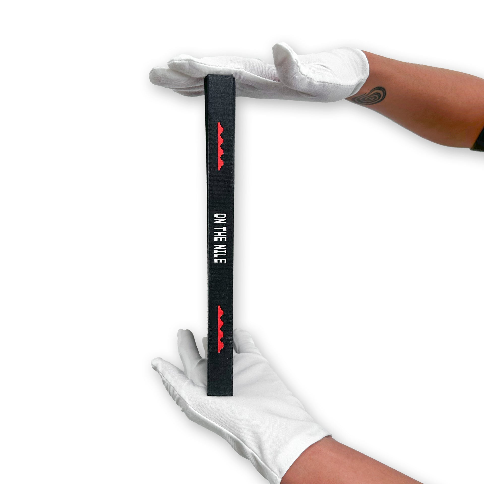 "Egyptian Lover: On The Nile" Book