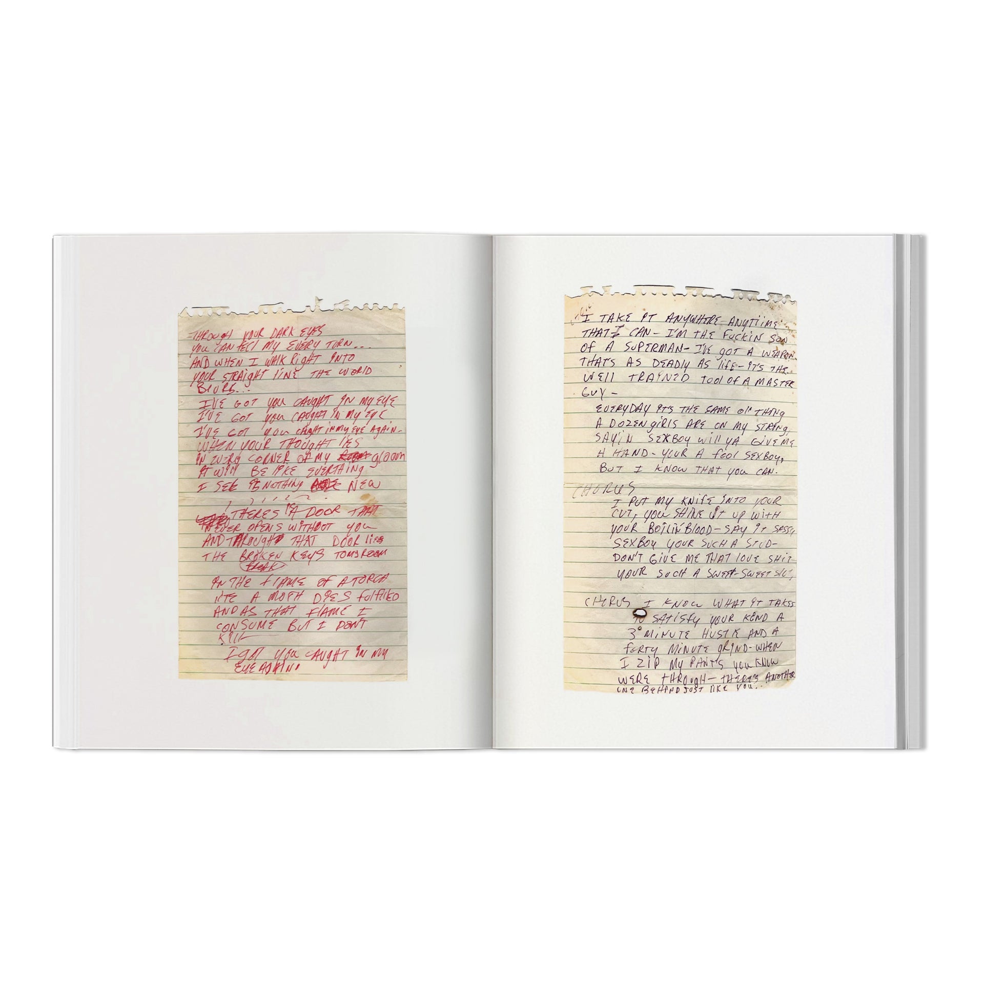 GERMS "This Music Leaves Exit Wounds" Book