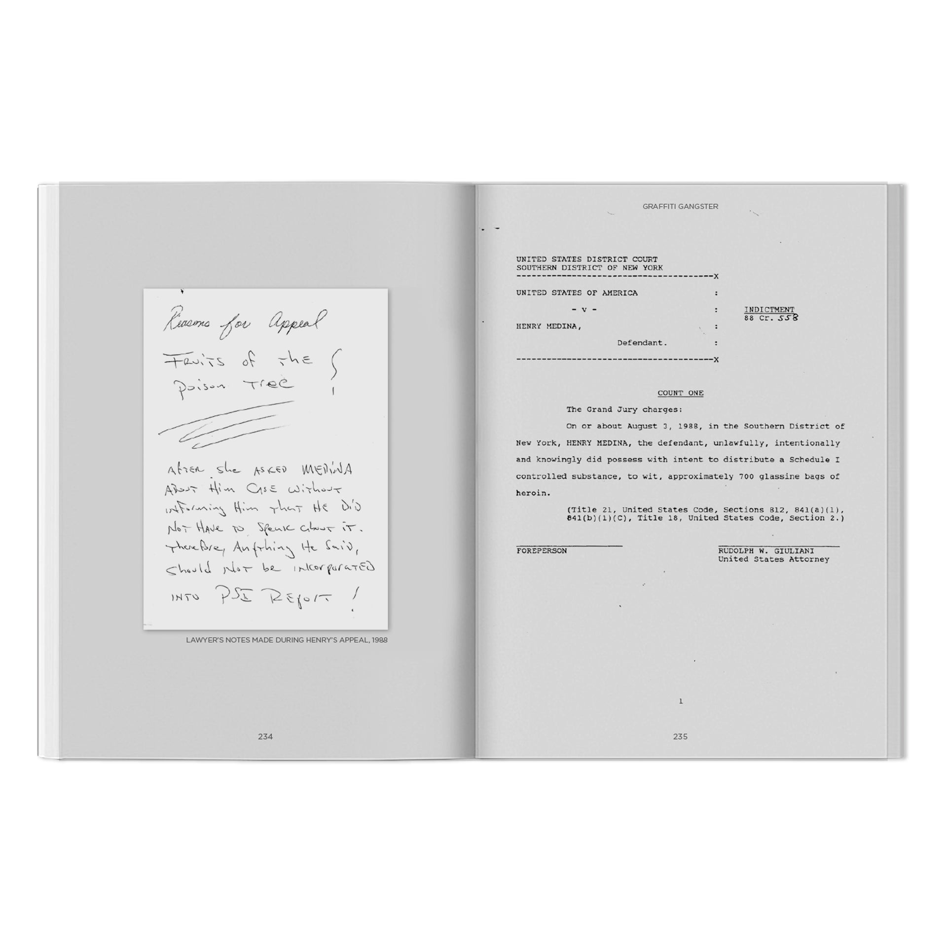 Henry 161 Medina "Graffiti Gangster" Book