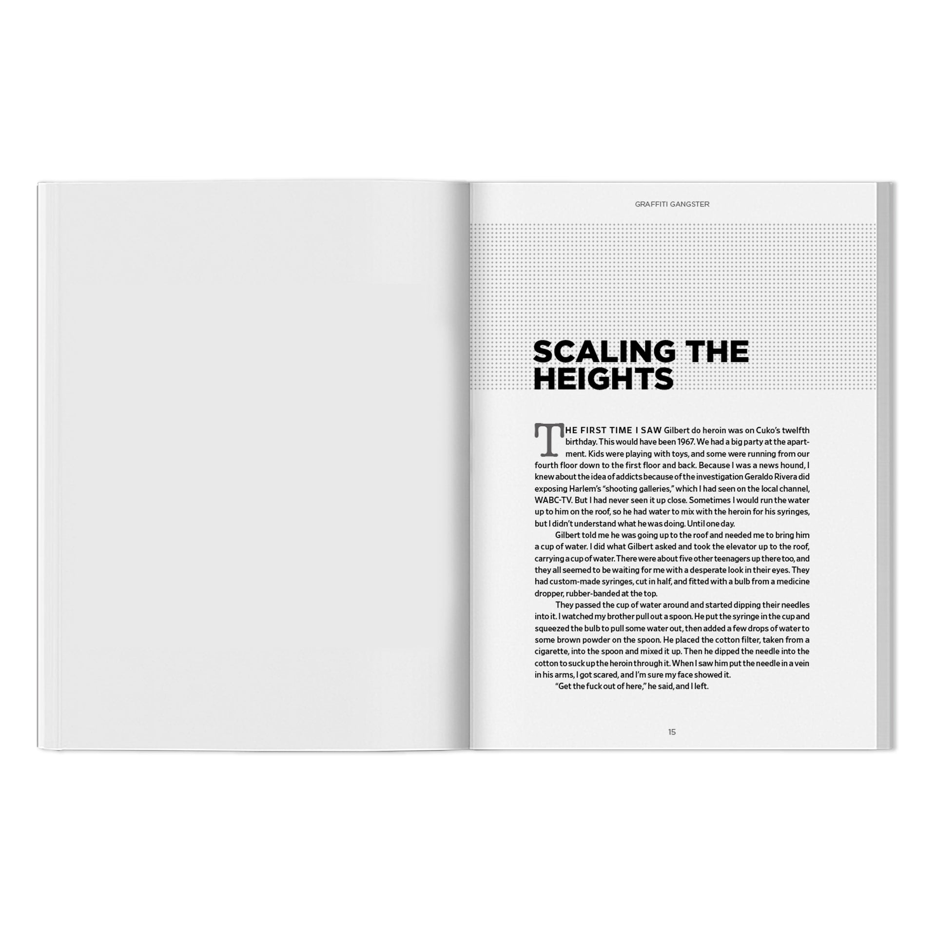 Henry 161 Medina "Graffiti Gangster" Book