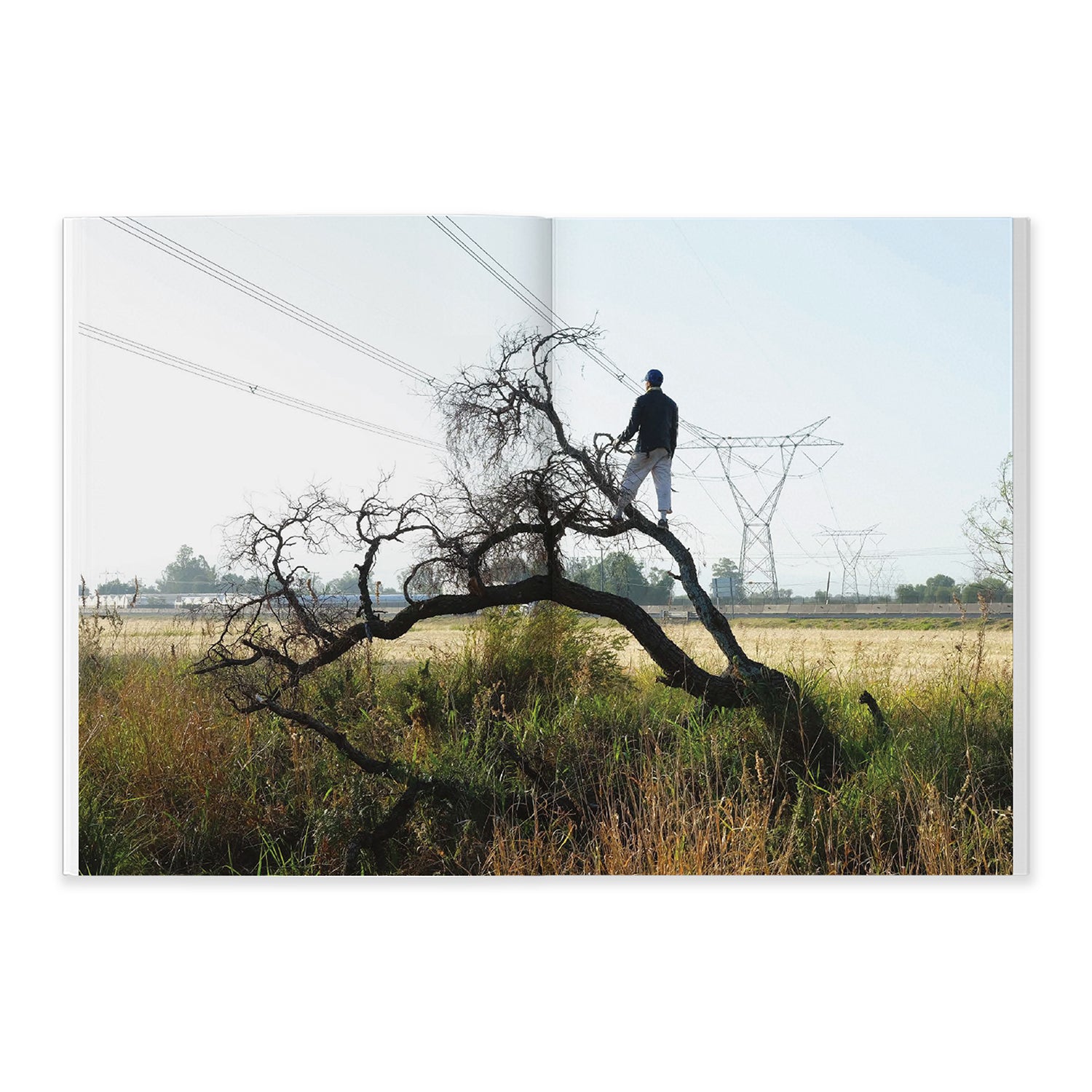Pablo Allison "Light of the Beast: Expanded 2nd Edition" Book