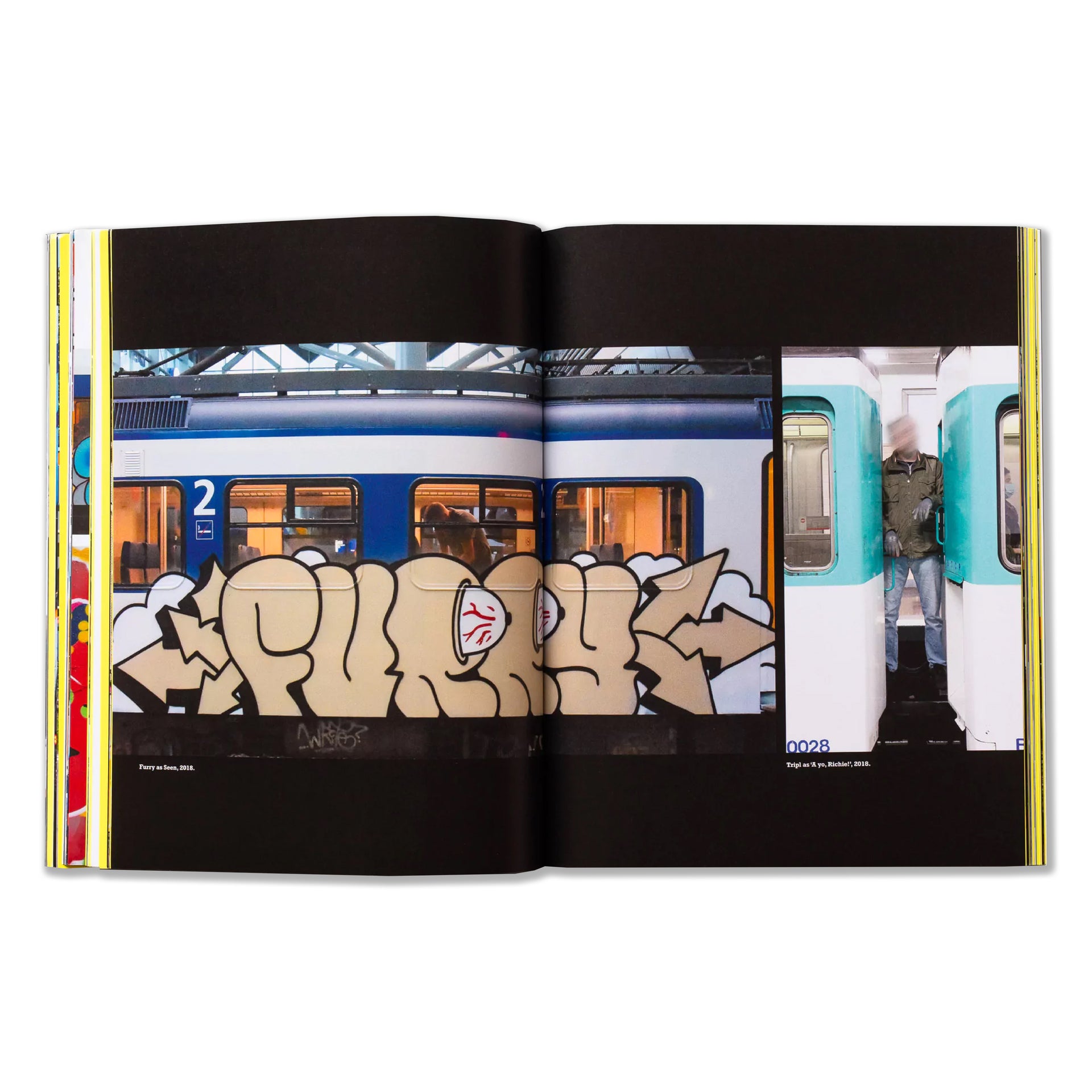 TRIPL a.k.a. FURIOUS "Repainting Subway Art" Book