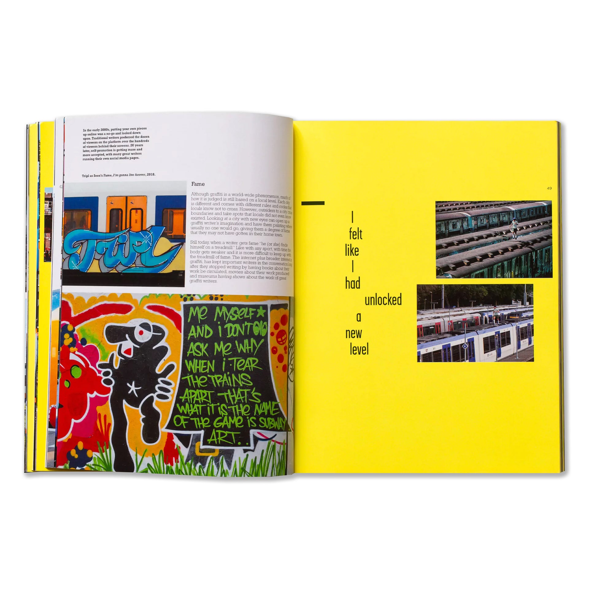 TRIPL a.k.a. FURIOUS "Repainting Subway Art" Book