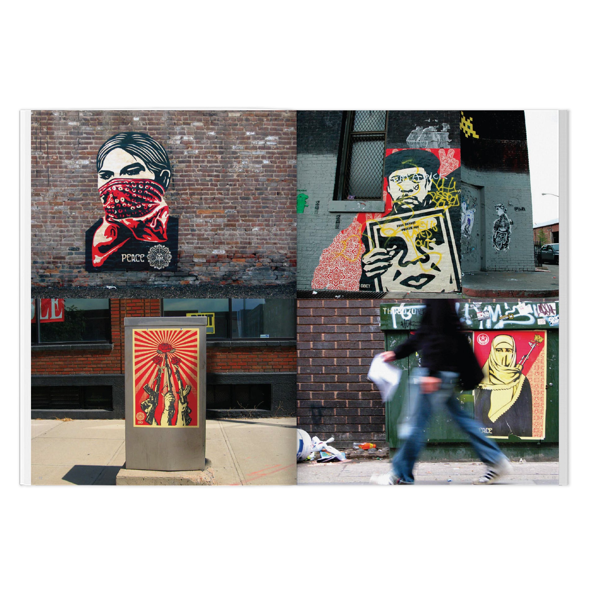 Shepard Fairey "Weathered" Book