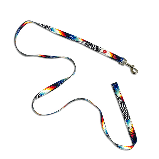 Felipe Pantone "Series 1" Pet Leash