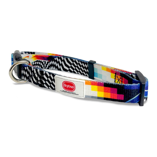 Felipe Pantone "Series 1" Pet Collar