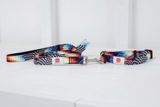 Felipe Pantone "Series 1" Pet Collar