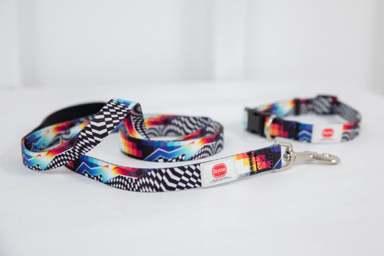 Felipe Pantone "Series 1" Pet Leash