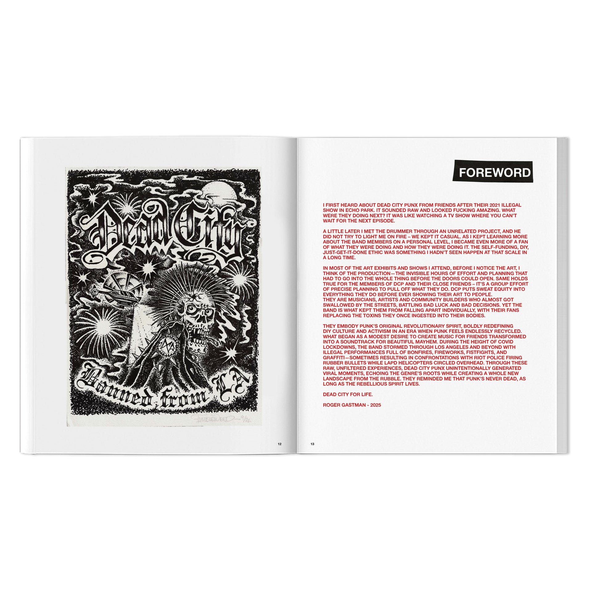 Dead City Punx "Dead City" Book