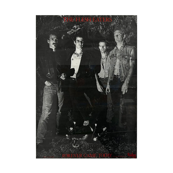 Kill Your Idols "Flesh Eaters-Forever Came Today" Vintage Poster
