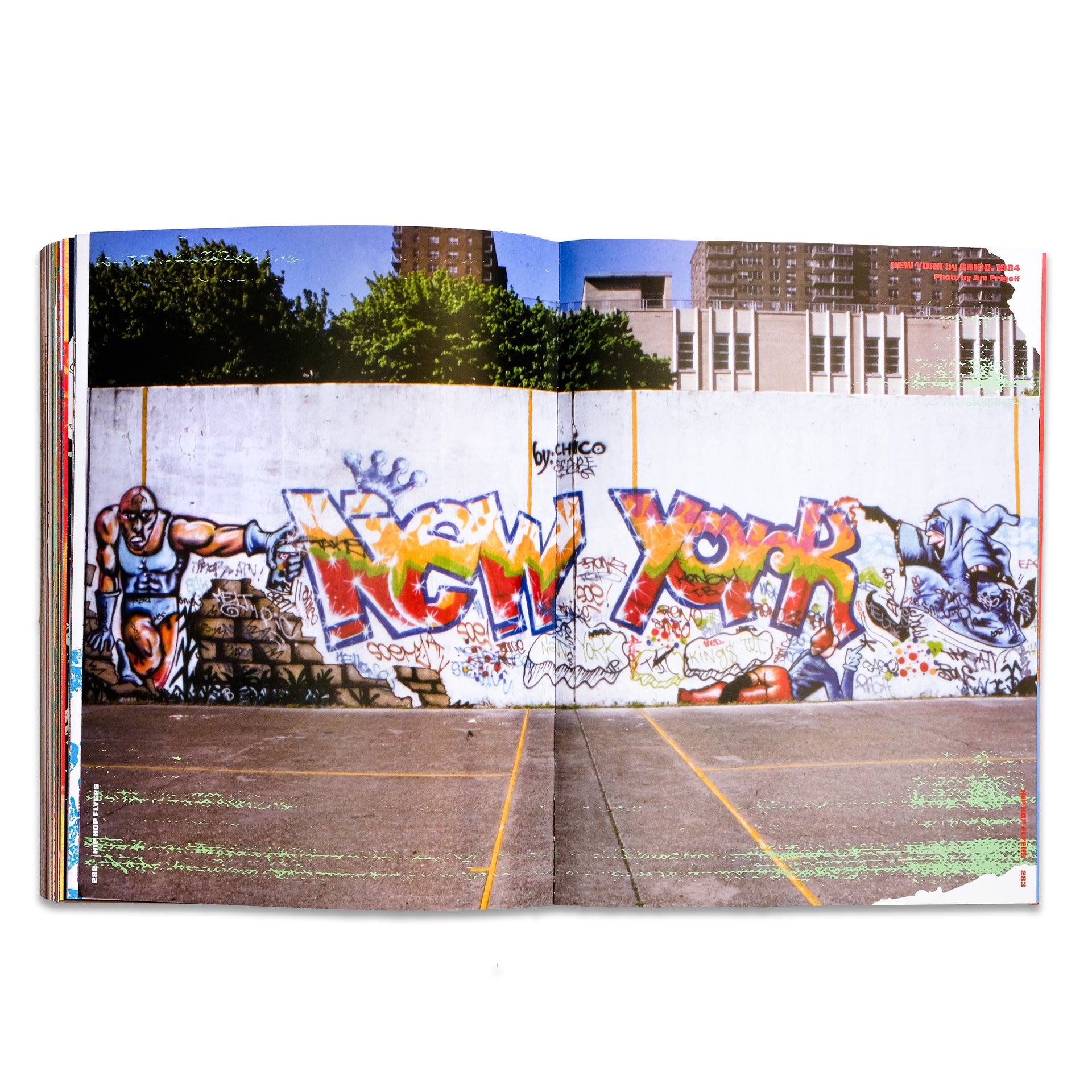"Hip Hop Flyers '74-'84" Book