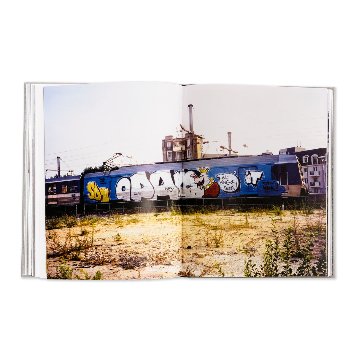 Oliver Scuro "Painted Graves Vol. 1" Book