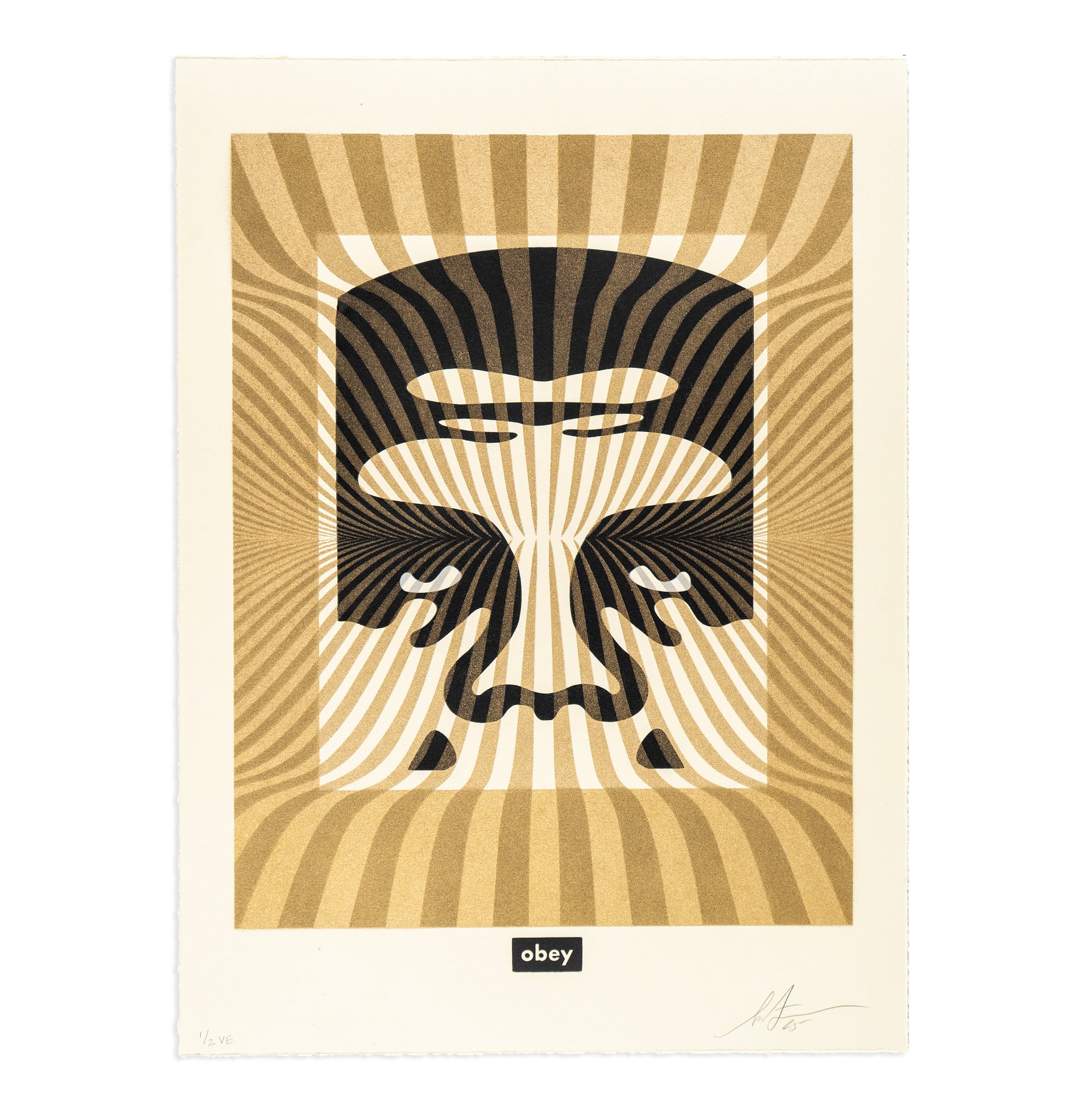 Shepard Fairey "Op-Art Icon 13, #1/2" Print