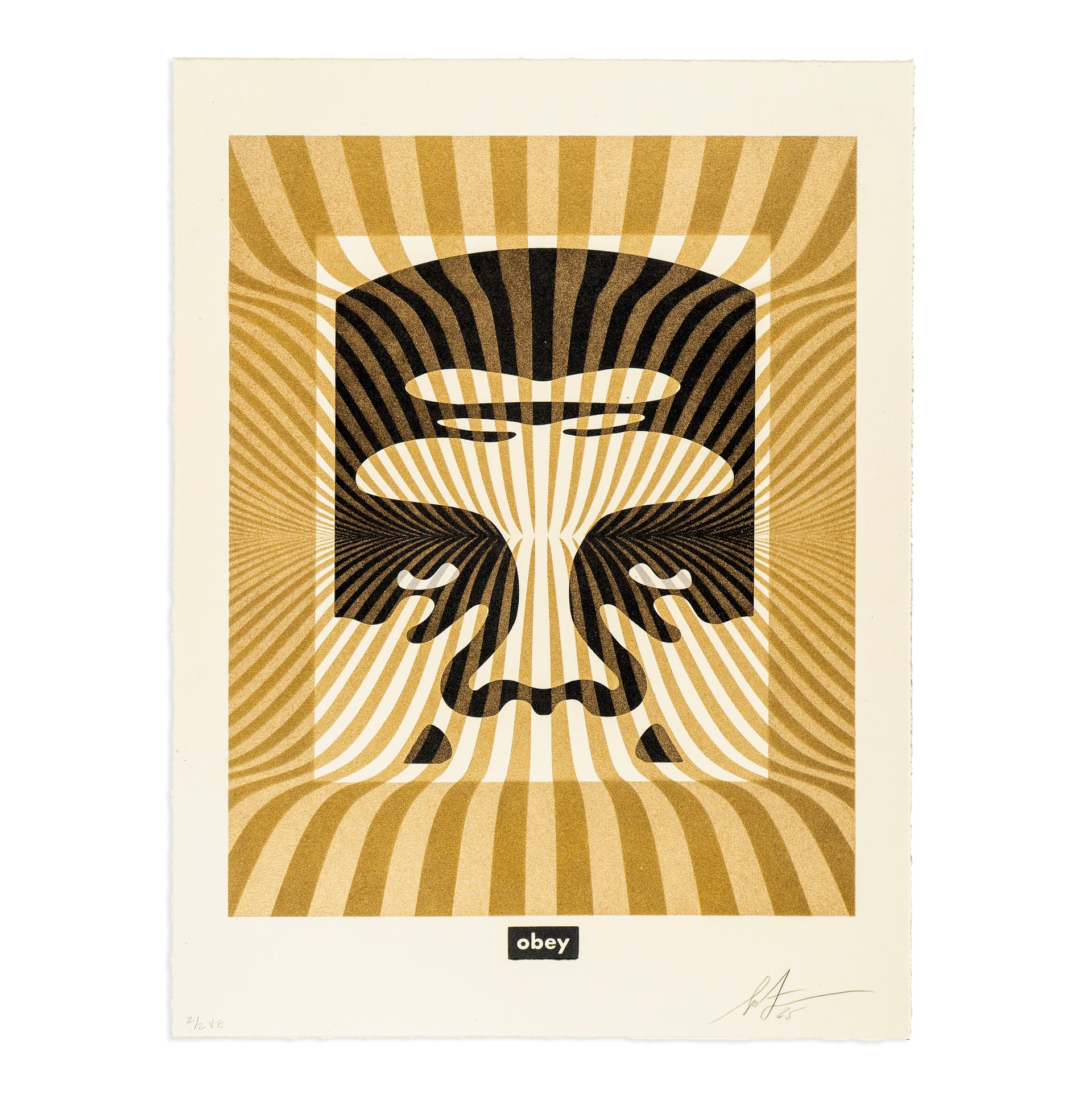Shepard Fairey "Op-Art Icon 13, #2/2" Print