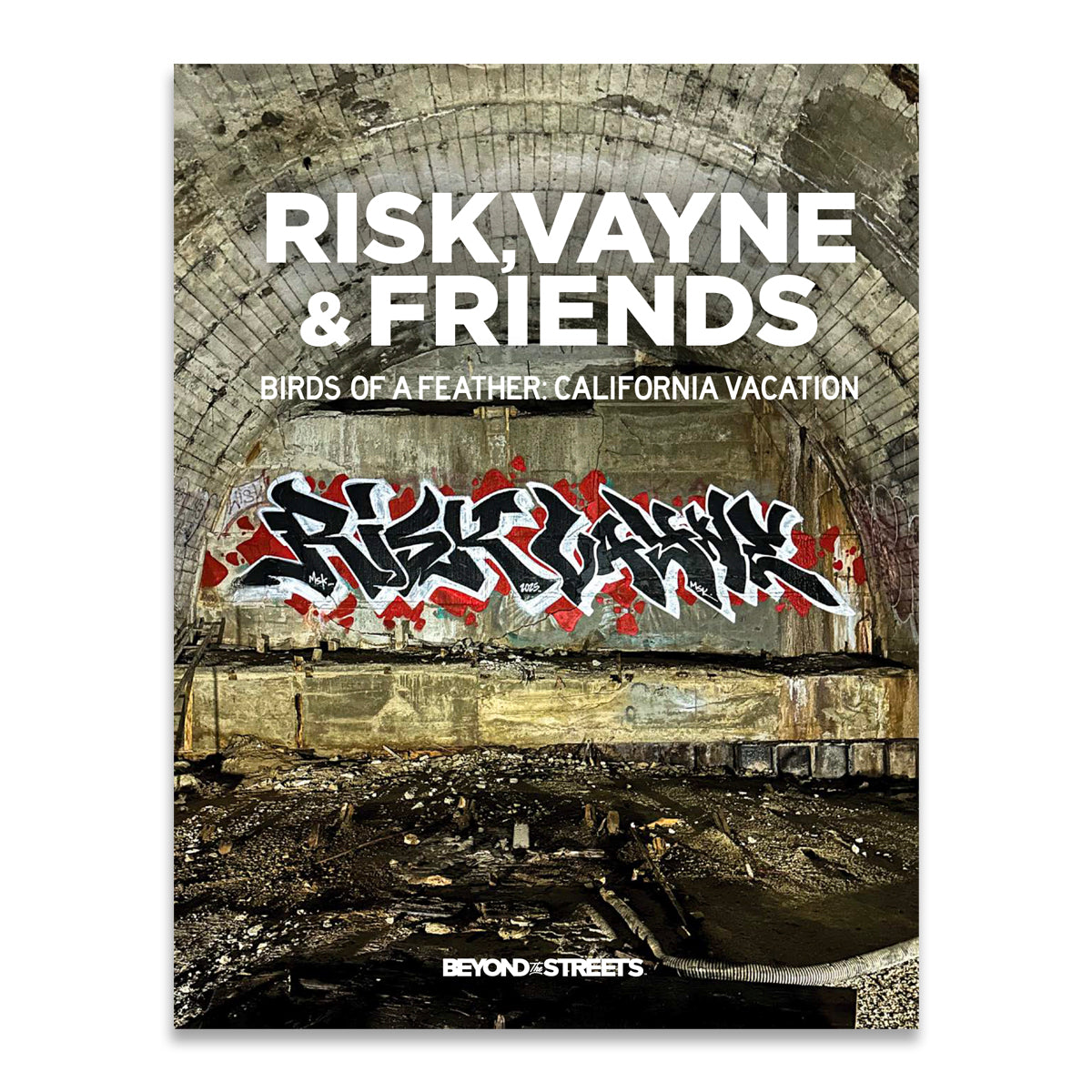 RISK, VAYNE & Friends "Birds Of A Feather: California Vacation" Book