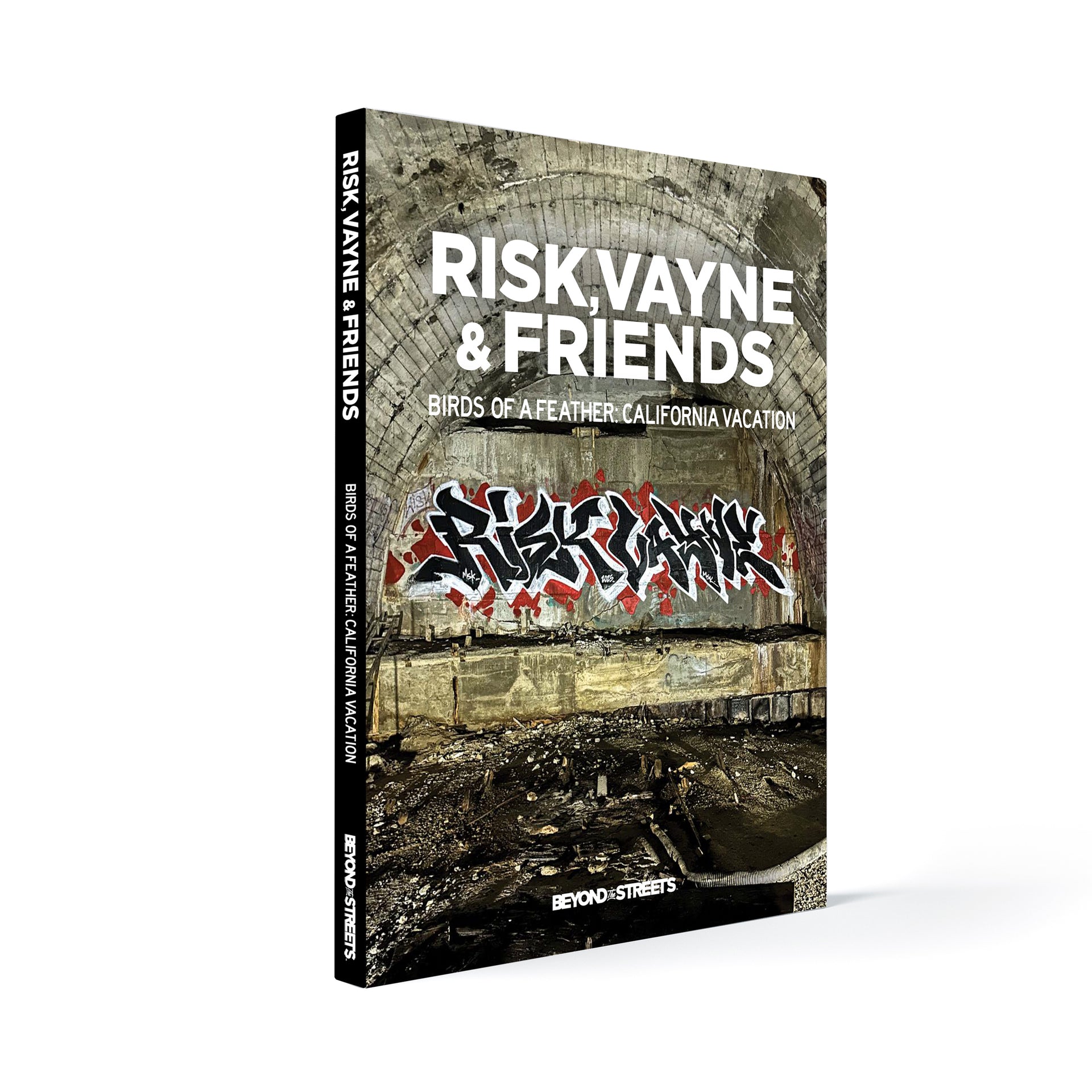 RISK, VAYNE & Friends "Birds Of A Feather: California Vacation" Book