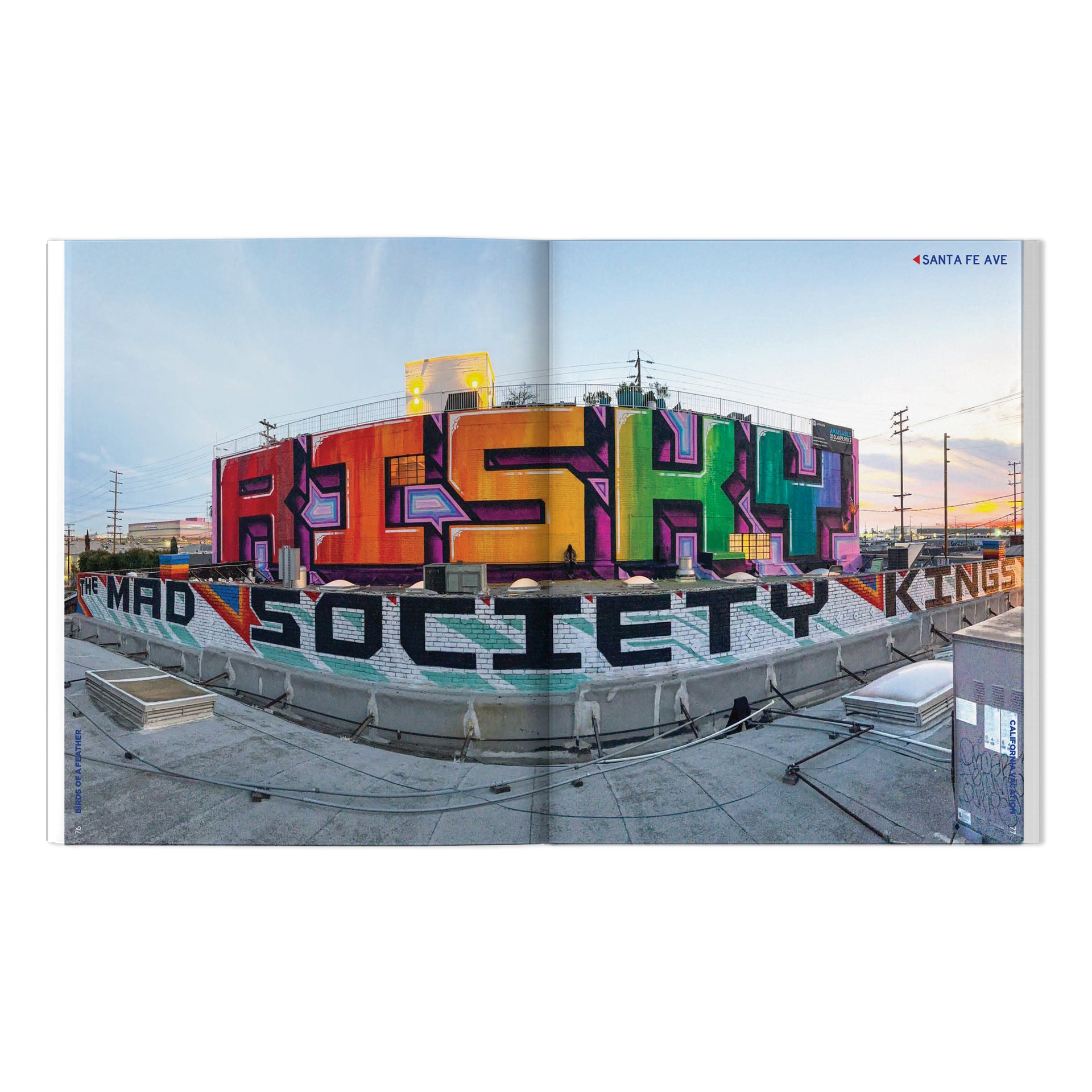 RISK, VAYNE & Friends "Birds Of A Feather: California Vacation" Book