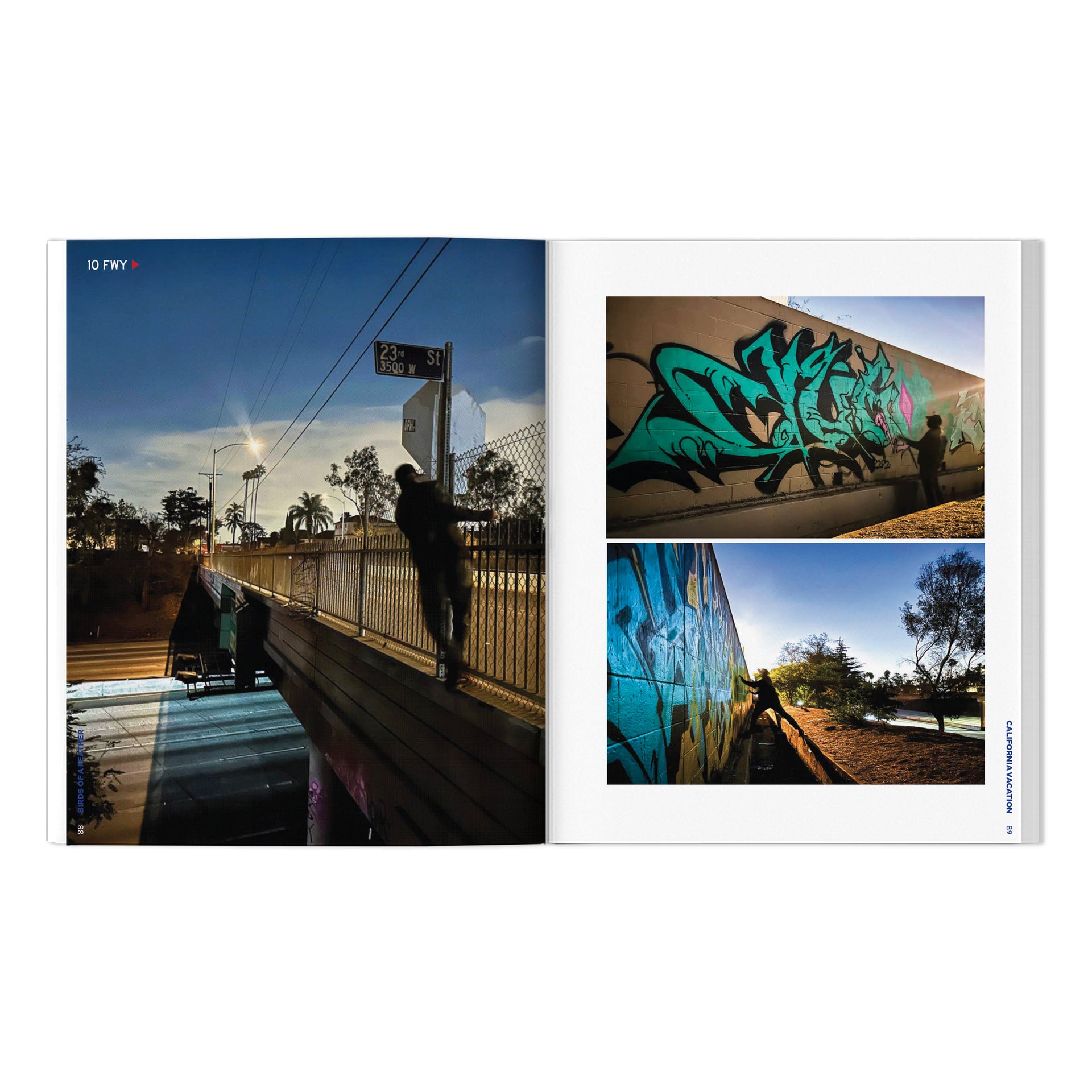 RISK, VAYNE & Friends "Birds Of A Feather: California Vacation" Book