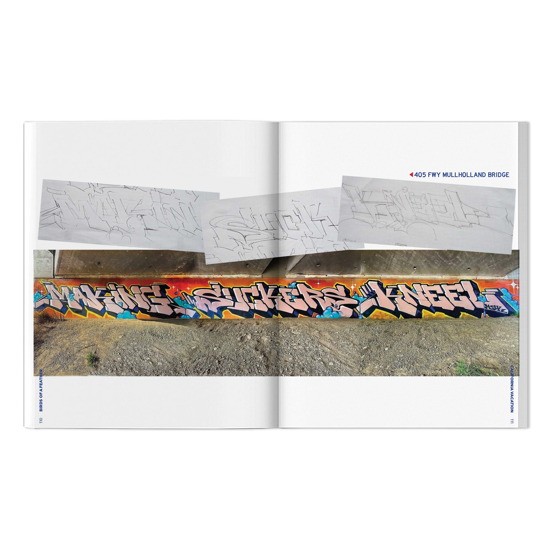 RISK, VAYNE & Friends "Birds Of A Feather: California Vacation" Book