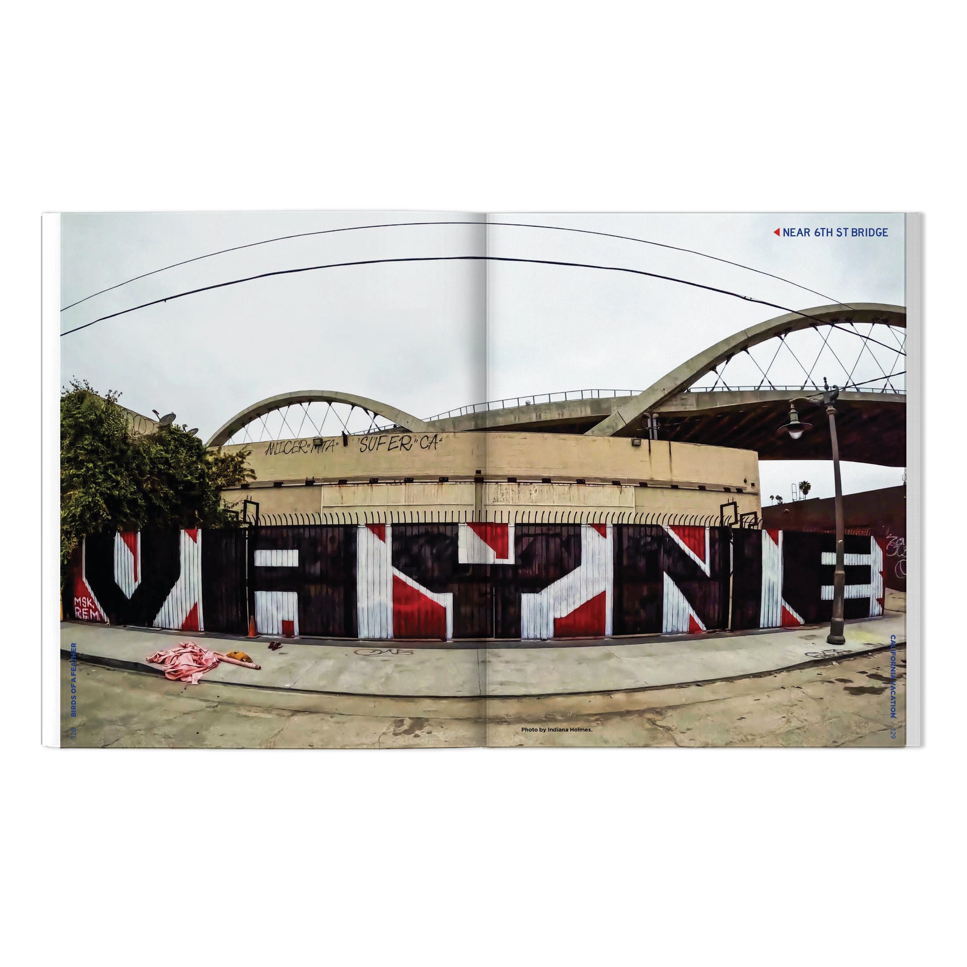 RISK, VAYNE & Friends "Birds Of A Feather: California Vacation" Book