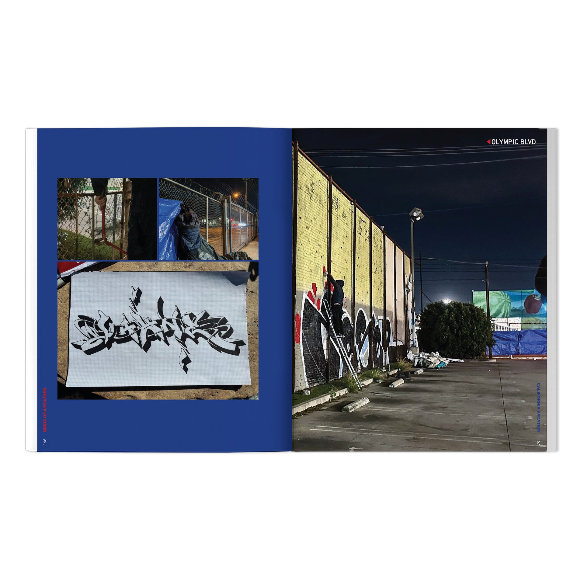 RISK, VAYNE & Friends "Birds Of A Feather: California Vacation" Book