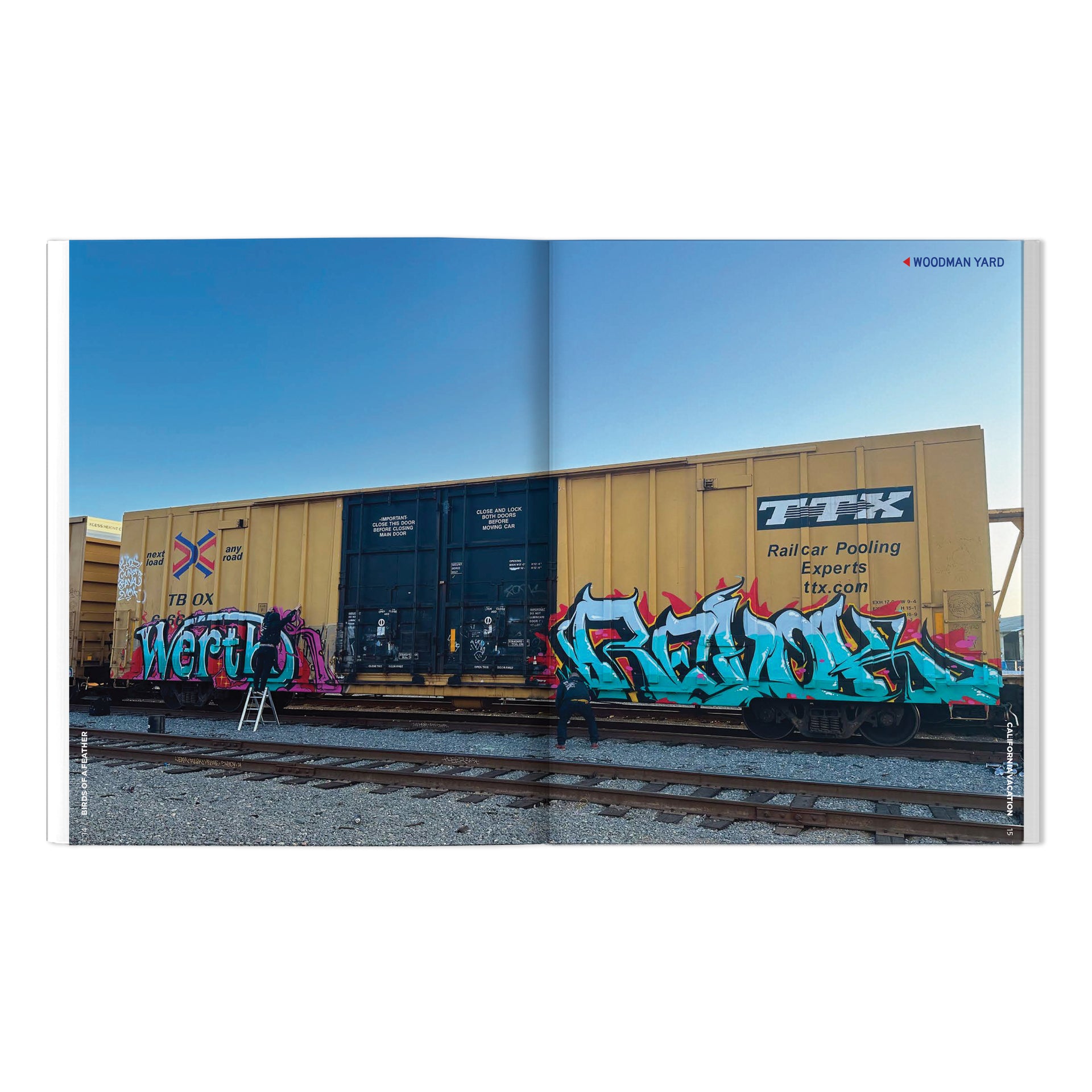 RISK, VAYNE & Friends "Birds Of A Feather: California Vacation" Book