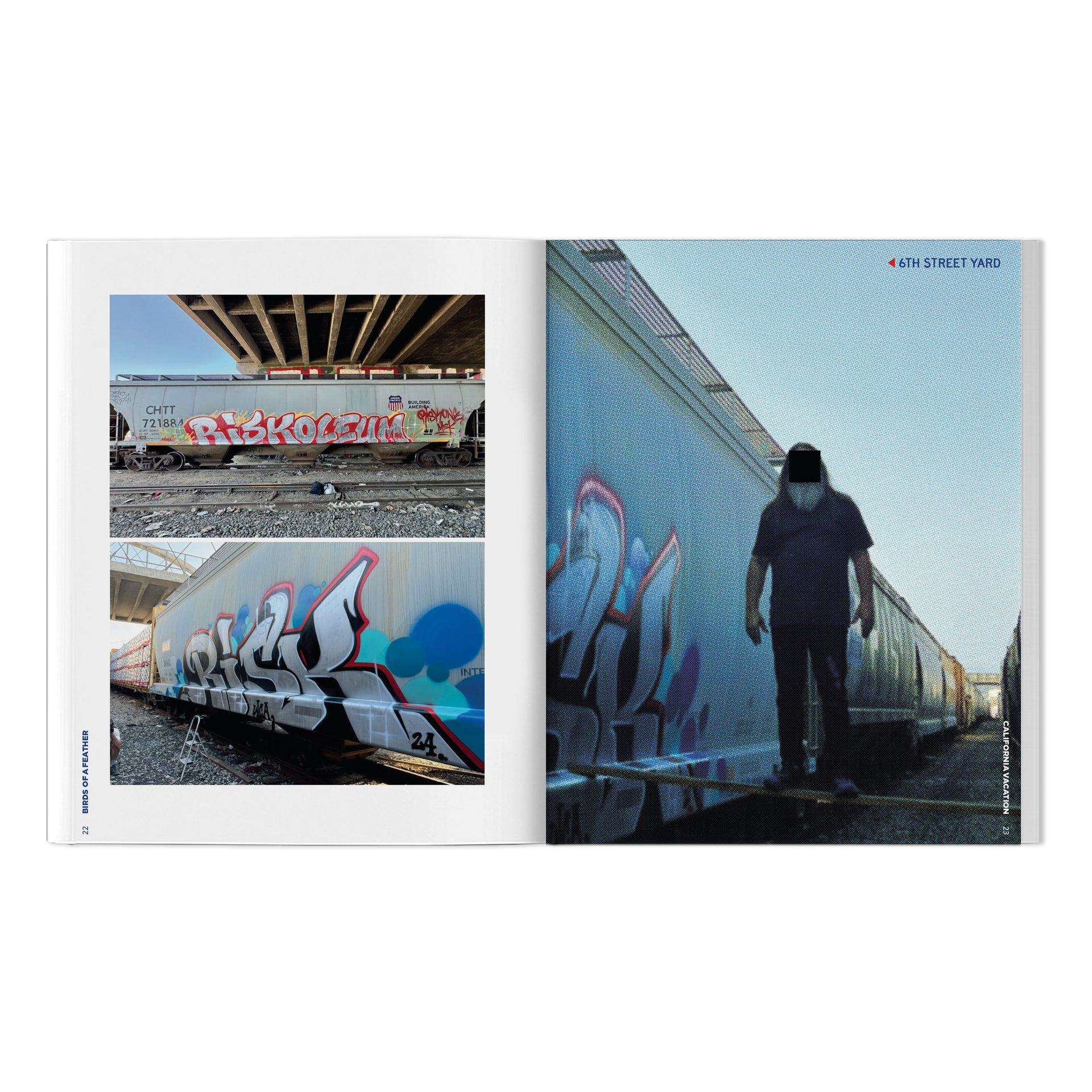 RISK, VAYNE & Friends "Birds Of A Feather: California Vacation" Book