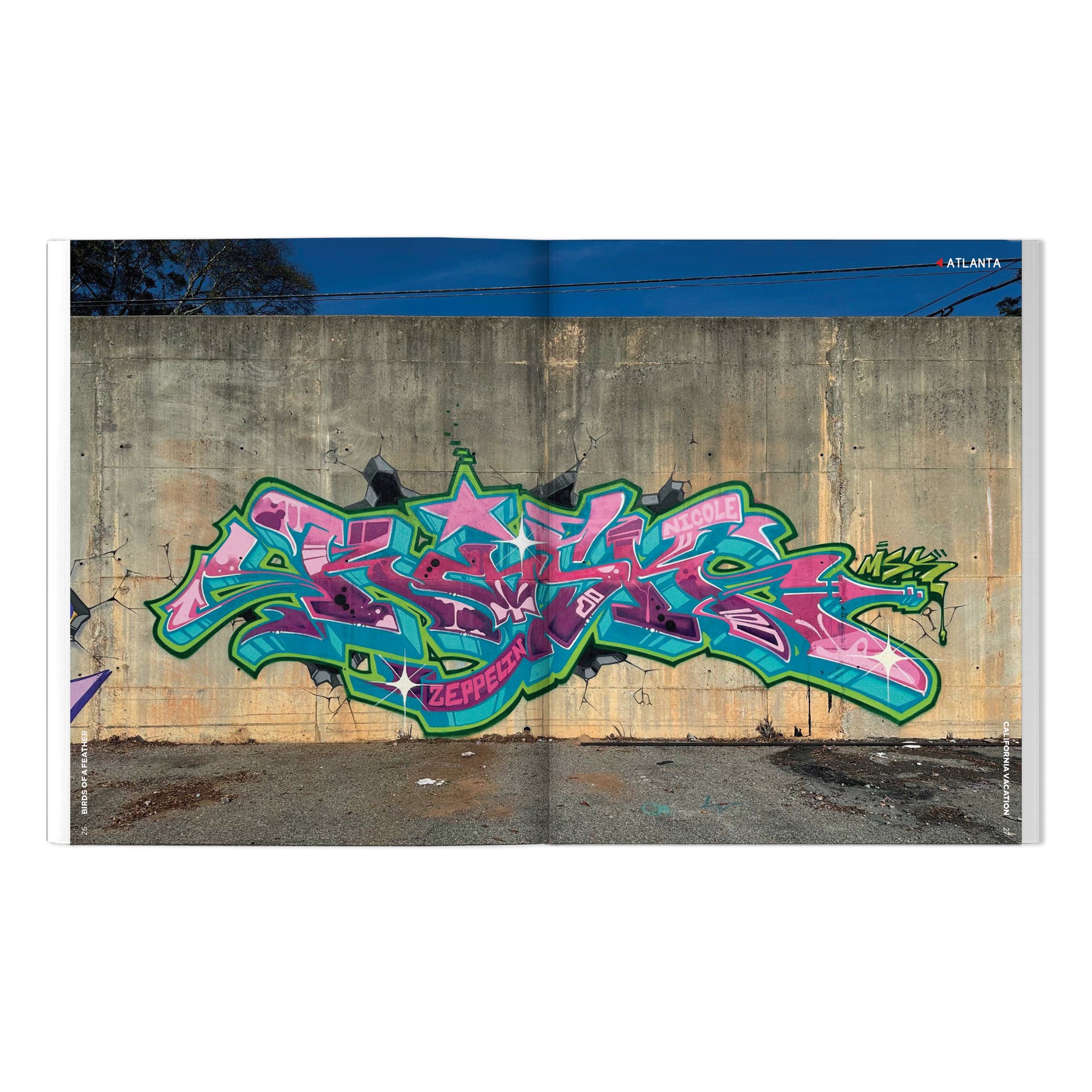 RISK, VAYNE & Friends "Birds Of A Feather: California Vacation" Book