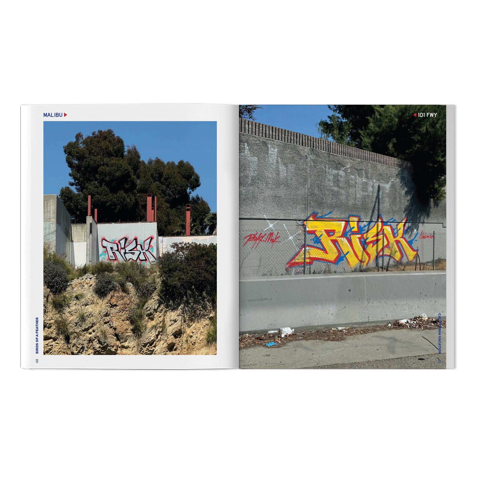 RISK, VAYNE & Friends "Birds Of A Feather: California Vacation" Book