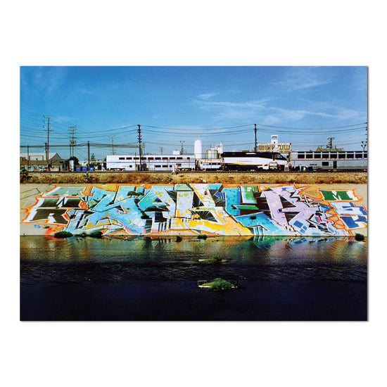 SABER "L.A. River" Puzzle